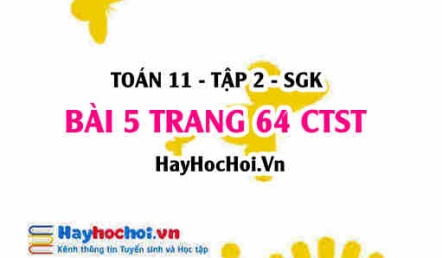 Bài 5 trang 64 Toán 11 tập 2 Chân trời sáng tạo